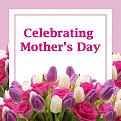 Click image for larger version

Name:	mothersday2021B.jpg
Views:	94
Size:	49.2 KB
ID:	1086